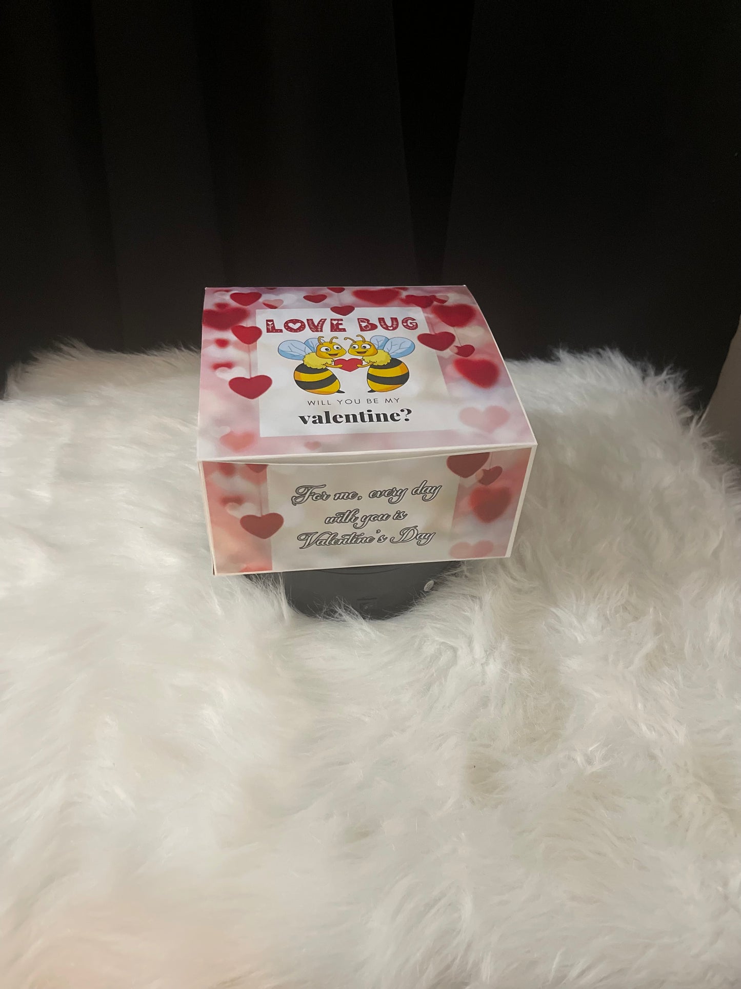 Love Bug Valentine Box or Gift Set