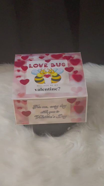 Love Bug Valentine Box or Gift Set